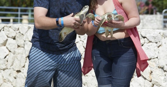 Tourists holding sea turtles at Cayman Turtle Centre.