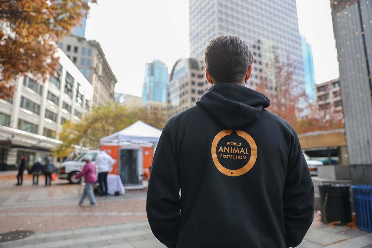 A person wears a World Animal Protection hoodie with the logo visible from behind.