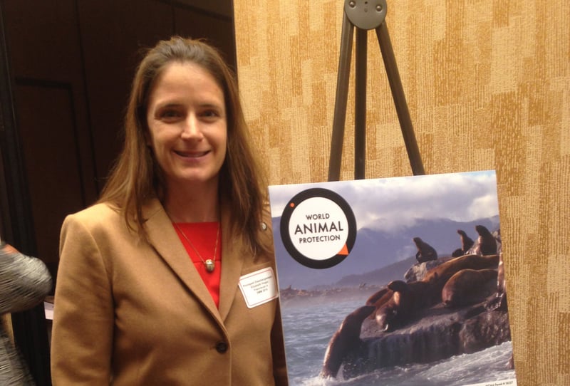 World Animal Protection's U.S. Campaign Manager for Oceans & Wildlife Elizabeth Hogan