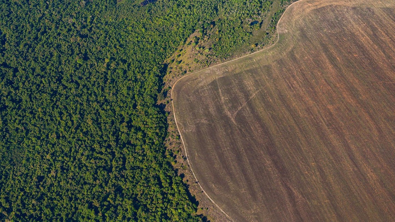 Aerial view of deforestation.