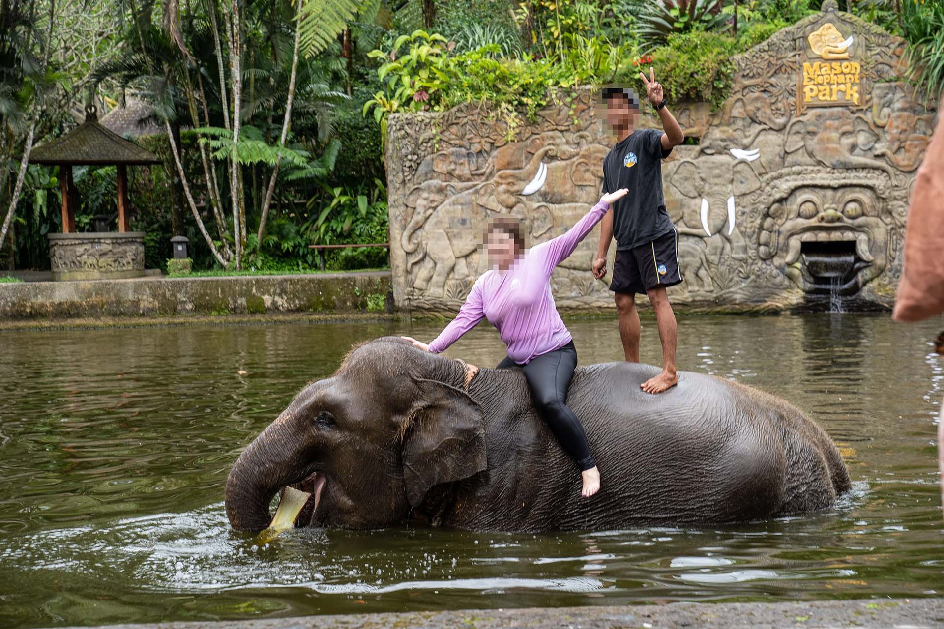 A tourist poses on an elephant.
