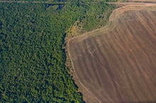 Aerial view of deforestation.